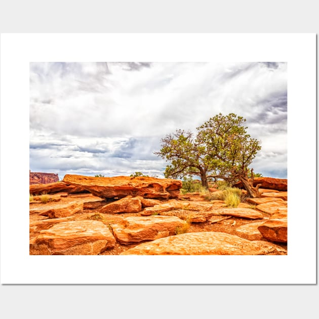 Juniper Tree, Capitol Reef National Park Wall Art by Gestalt Imagery